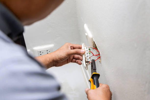 Best Electric Panel Repair  in La Plata, NM